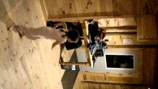 DSCN3295.AVI