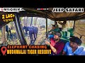 Mudumalai Tiger Reserve JEEP SAFARI | Elephant Chasing Jeep | Mudumalai Wildlife Sanctuary