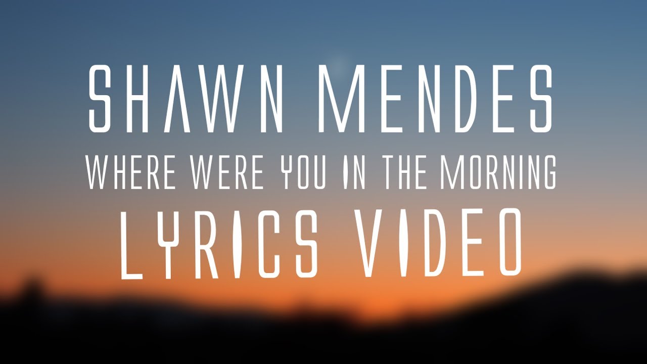 Where were you in the morning babe?  Shawn mendes tour, Shawn mendes  lyrics, Shawn mendes imagines