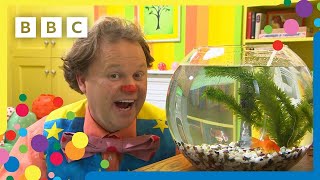 Mr Tumbles Pet Dfish Mr Tumble And Friends