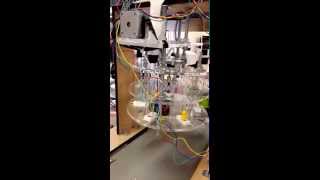 skittle sorting machine test run
