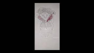 copy FAC39827 811B 49D1 B095 1541C05FCDDD