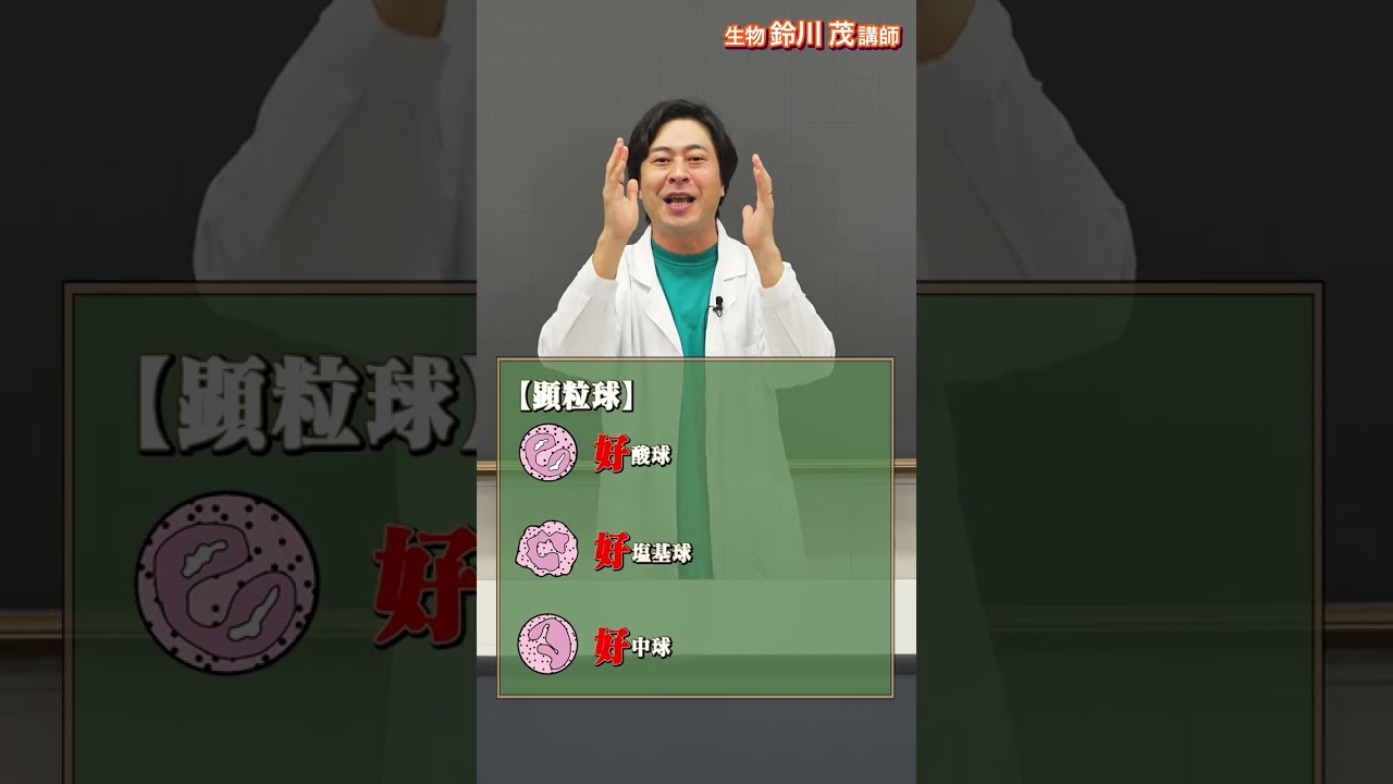 細胞博士が教える免疫細胞の覚え方【代ゼミ講師のマル秘テクニック