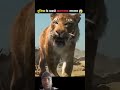 दुनिया के सबसे खतरनाक जानवर 😱🤯 #shorts #facts #viralvideo