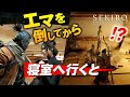 あまり知られていないSEKIROの裏技集 | 葦名城で発生する不思議現象特集