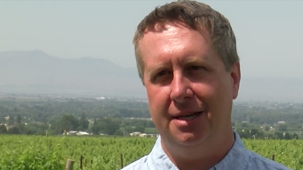 Sustainable Washington Wines