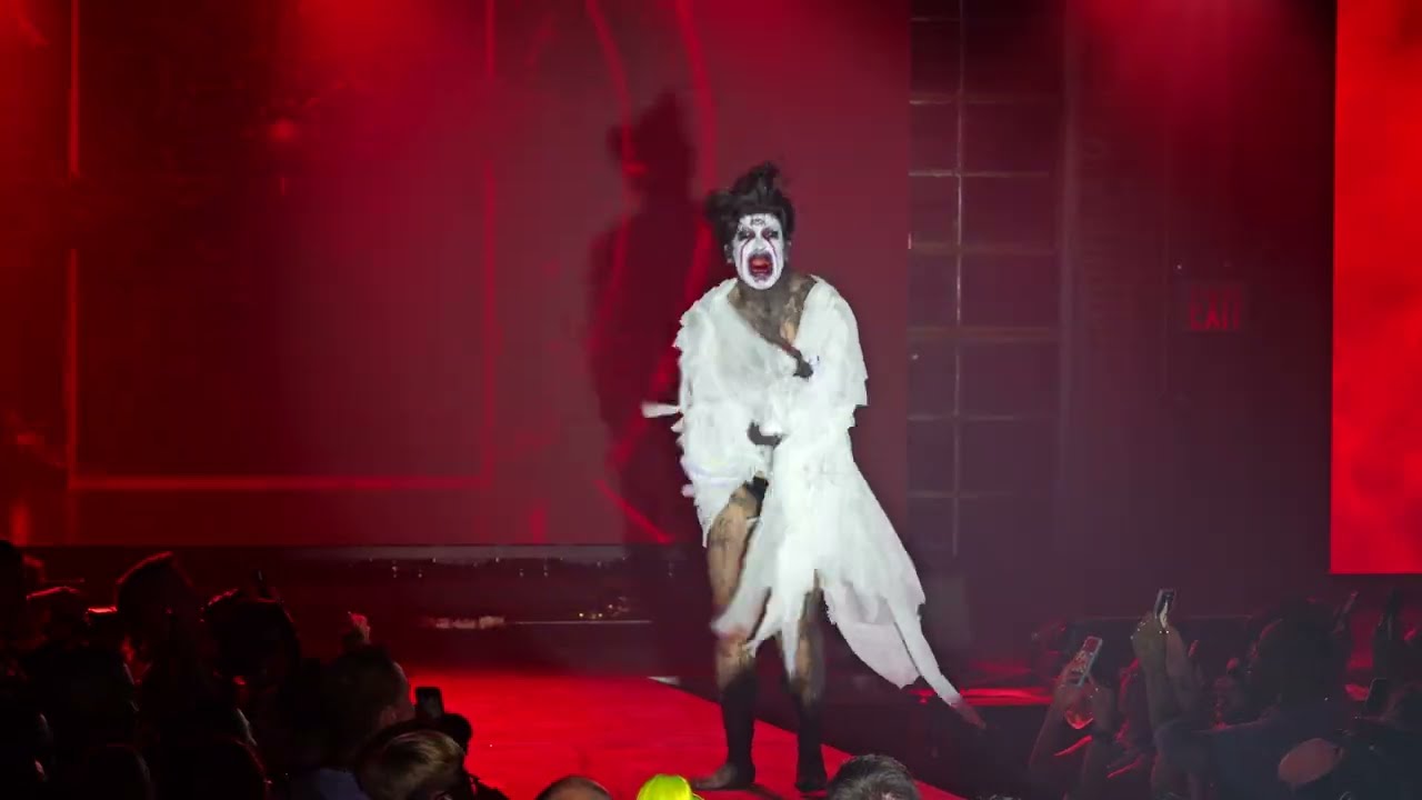 Showponii at Bushwig 2023 (Official Video)