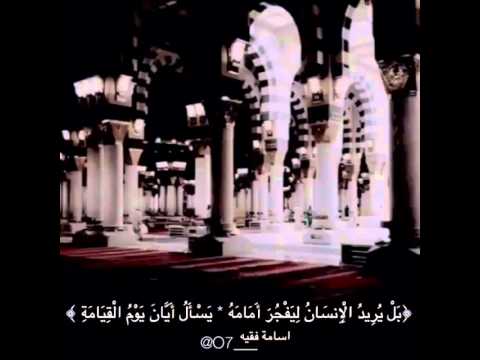 أيه قرآنية بصوت المنشد أسامة فقيه