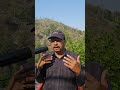 Tiger vs Grizzly Bear 🐅🐻 — कौन है असली जंगल का KING?
