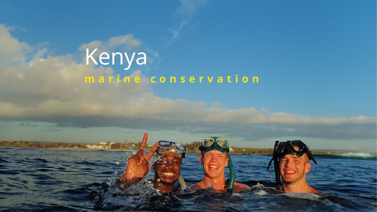 Kenya Marine Conservation