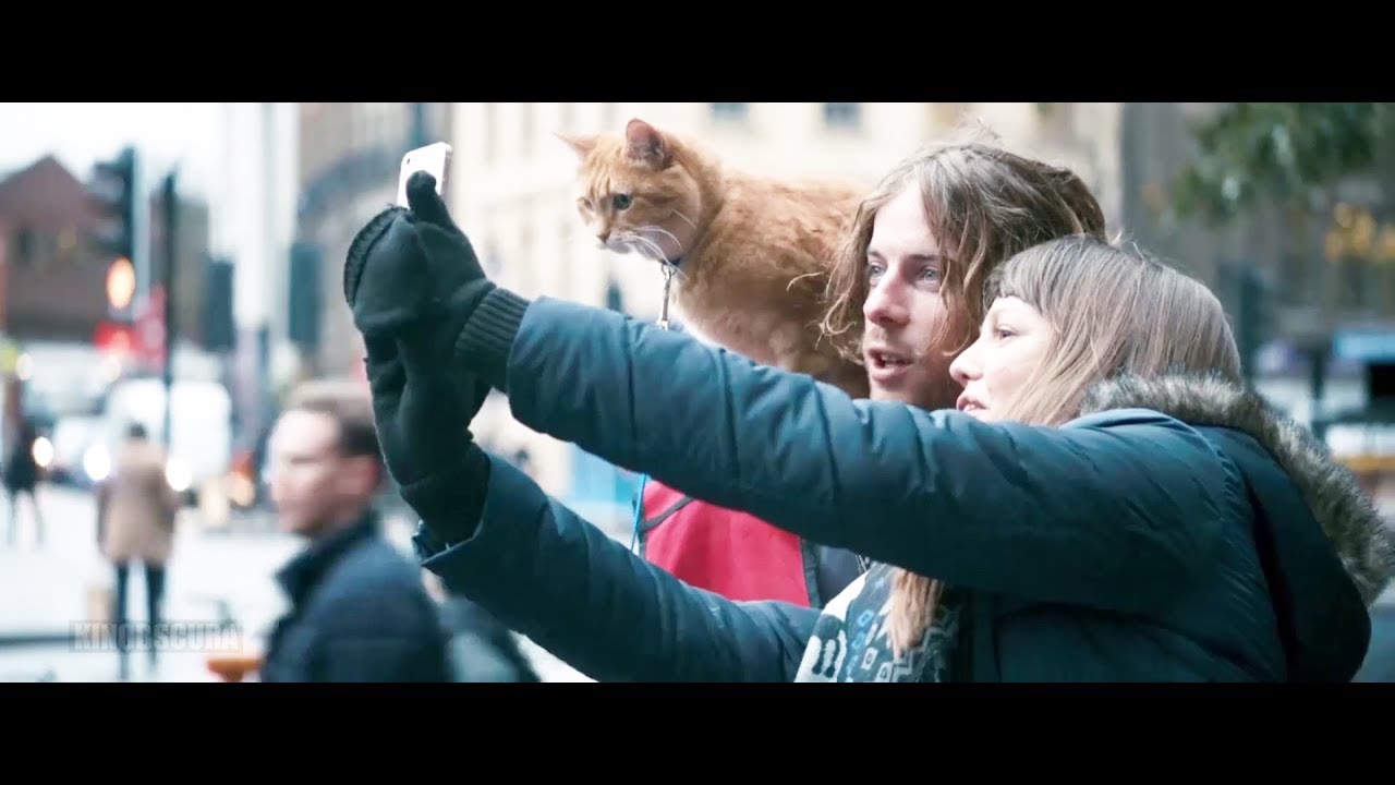 A Street Cat Named Bob (2016) - The Big Issue - Youtube