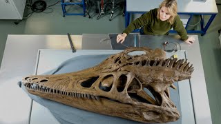 7 Incredibly Well-Preserved Prehistoric Fossil Discoveries!