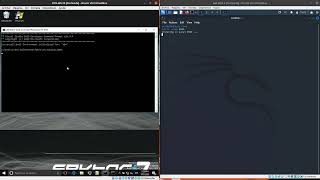 Famous RTO: xor cipher shellcode binary injection Profile