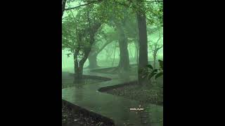 Yağmur Sesi.. Dansı