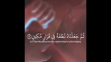 ولقد خلقنا الإنسان -  تلاوة قرءانية رائعة بصوت القارئ خالد الجليل