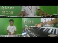 ASAL KAU BAHAGIA Orchestral Cover by Adi Virso