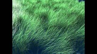 Lightblade 2011-08-06 23-10-07-06.Avi