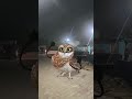 #actingchallenge #funny