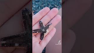 Sr Guys, I Dont Post Video. Here Is The Reason