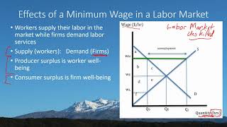 Price Floors (Minimum Wages):  Background and Effects