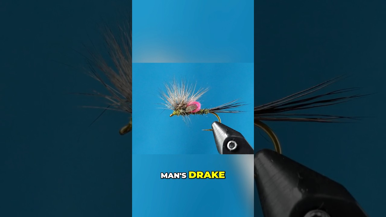 This fly was built for one thing… ALL DAY SURVIVAL