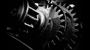 Understanding Cognitive Biases A Journey into Psychology