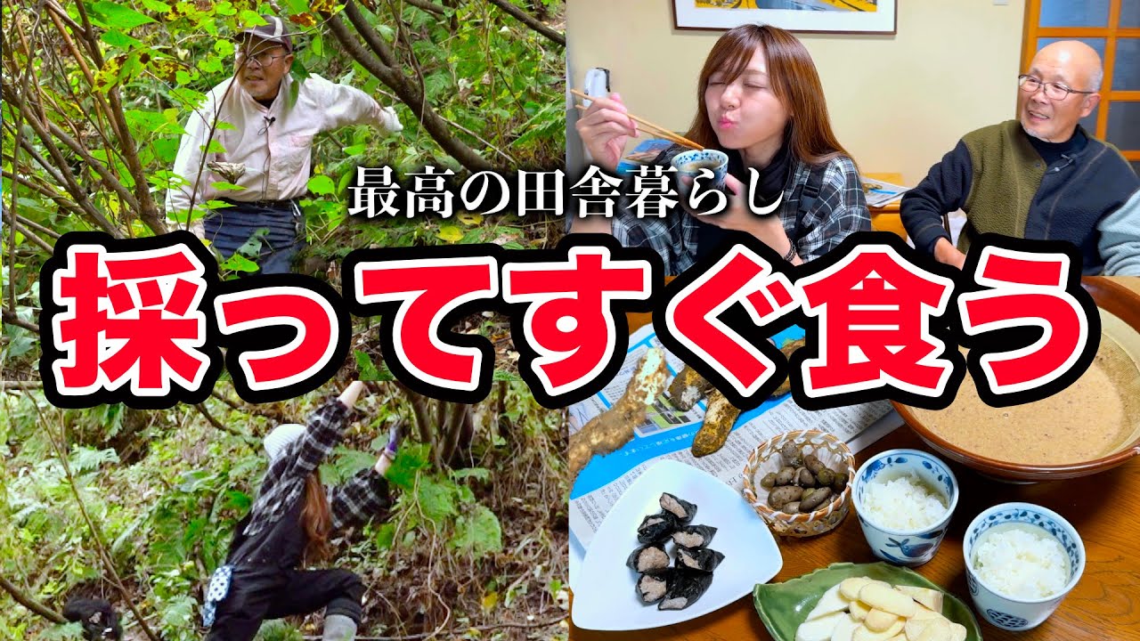 野山に自生する秋の高級食材【自然薯】山菜採りよりもキツイ上級者スポットで掘って帰ってすぐフルコースでいただきます！