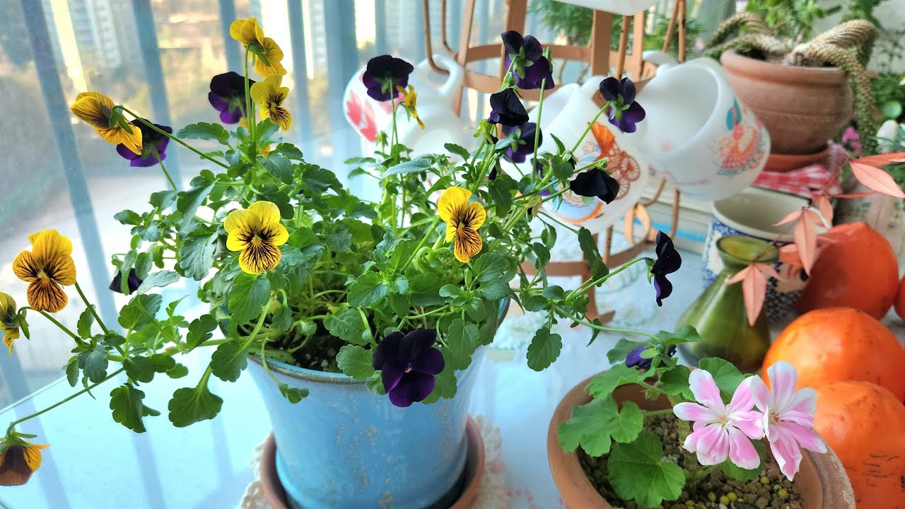 한해동안 응원해주셔서 너무 감사합니다 