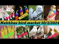 Nakkhas bird market 10032024         lucknow bird market neembupark bird market lucknow