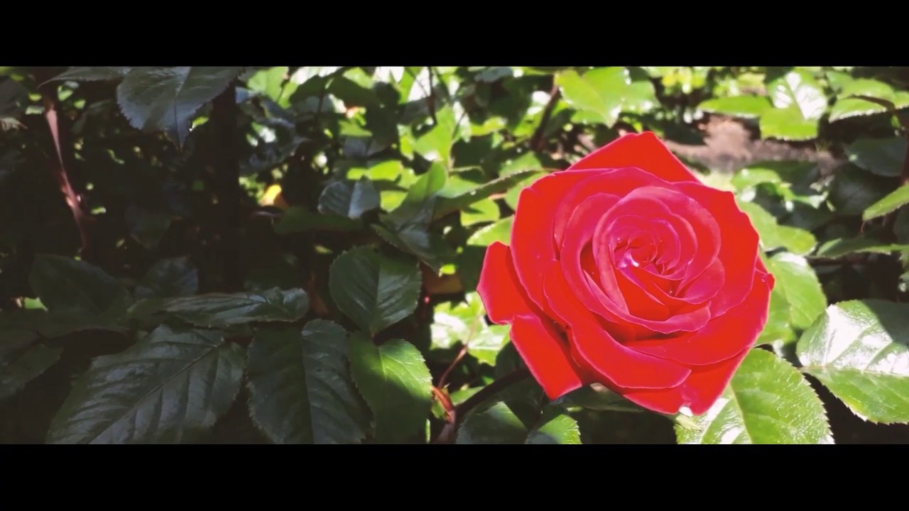 Day 42 - Eugene to Portland