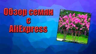 Обзор семян с AliExpress | Экзотические семена