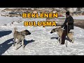 ÇOK BEKLENEN AZAP VE ÇOMAR BULUŞMASINI YAPTIK ~ ZORLU ŞARTLARDA!