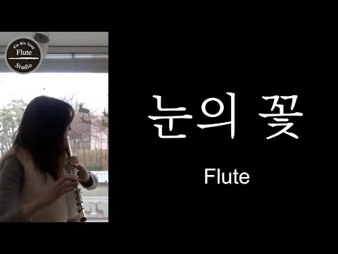 [플룻 연주]미안하다 사랑한다 OST (눈의 꽃 플룻 커버) 박효신. Snow flower(I'm sorry, i love you drama ost) flute cover