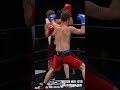 ENDLESS HAYMAKERS GAS OUT AMATEUR BOXERS