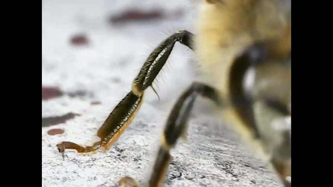 Washboarding Example YouTube