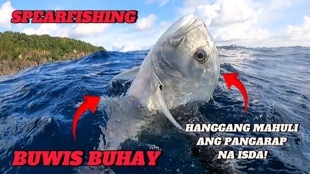 SPEARFISHING MOST DANGEROUS WAY OF CATCHING FISH! || MEL SPEARFISHING TV 🌊🏝️😱💪🎯🐠