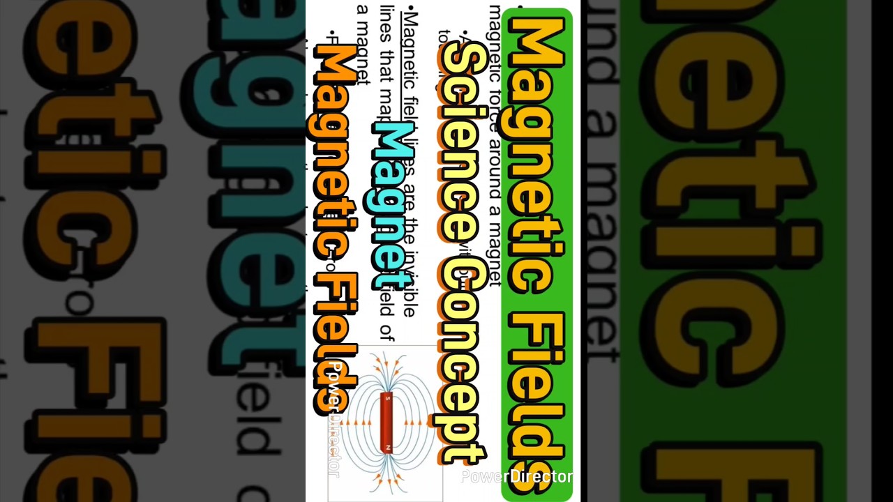 Magnetic Field | Magnetic Field Lines Science Concept Magnet. 