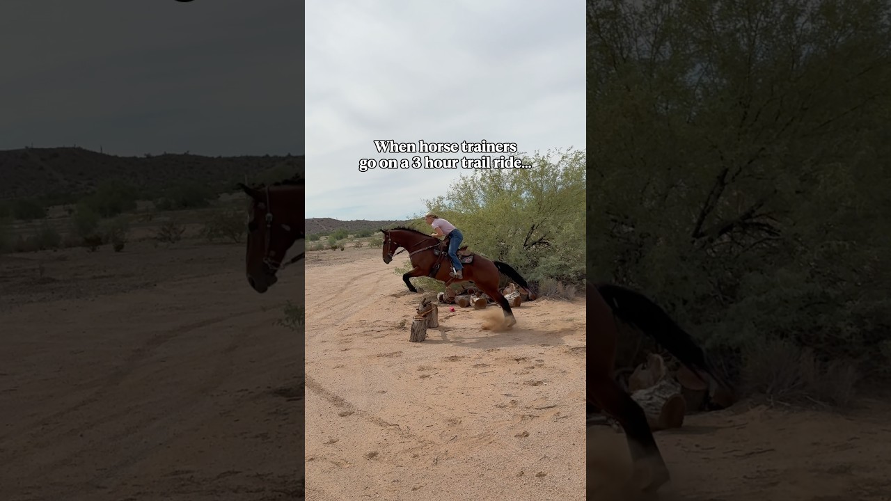 3 Hour Trail Ride Adventures