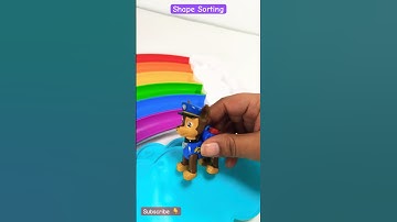 Shape Sorting | Chase | Educational Videos for Kids