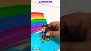 Shape Sorting | Chase | Educational Videos for Kids