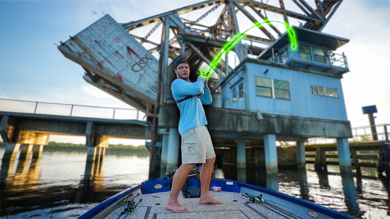 Exploring CRAZY Structure In Florida's BIGGEST RIVER!! (covered in fish)