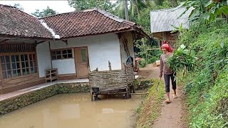 Kampung subur makmur terpencil di rancah sungguh bikin betah bikin rindu anak rantau