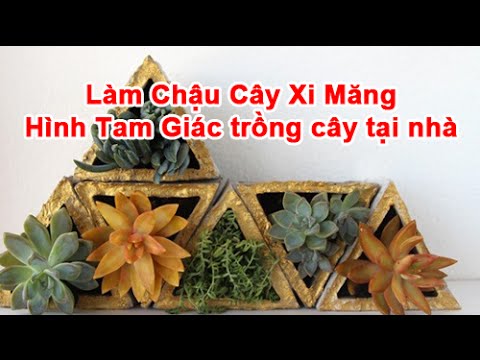Video Cách Làm Chậu Cây Xi Măng Hình Tam Giác trồng cây tại... - youtube