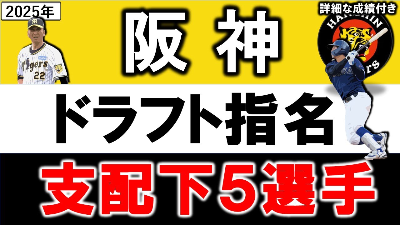 Hanshin Tigers 2025 Draft Selection List: Introducing the profiles 