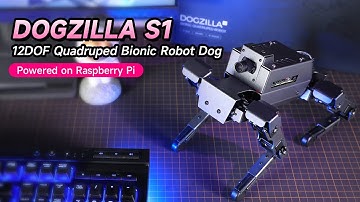 Meet your new pet [Bionic Robot Dog] | DOGZILLA S1