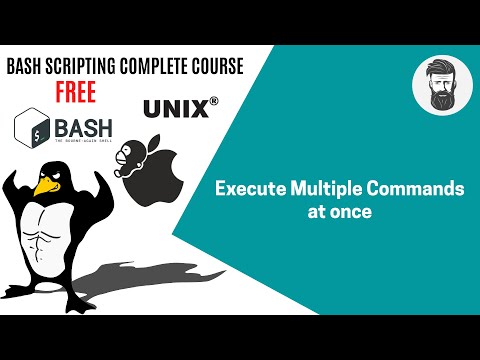 Execute Multiple Commands at Once? || Complete Course || Bash Scripting || Linux || CLI