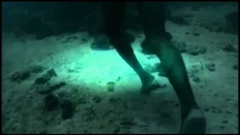 Bajaus Fisherman Under The Deep Water Ocean