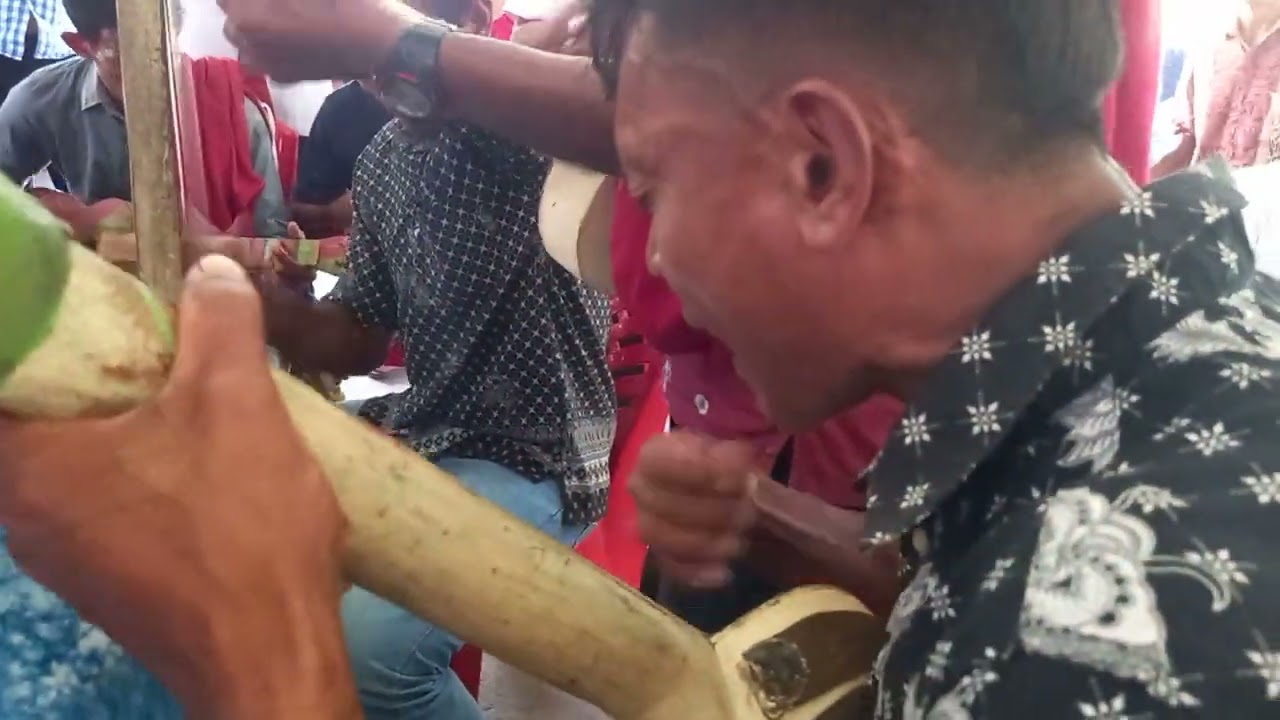 Orkes Takimo. Kao barat tercinta