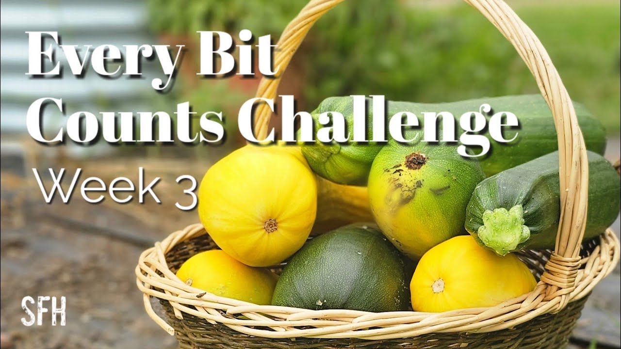 A Week of Food Preservation | Every Bit Counts