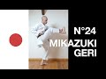 Jka karat training  mikazukigeri en dtail shotokan karate do vido n24